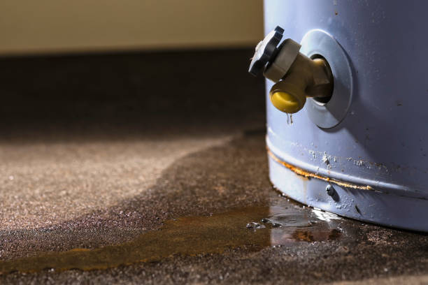 Best 24-hour water damage restoration  in Kaanapali, HI