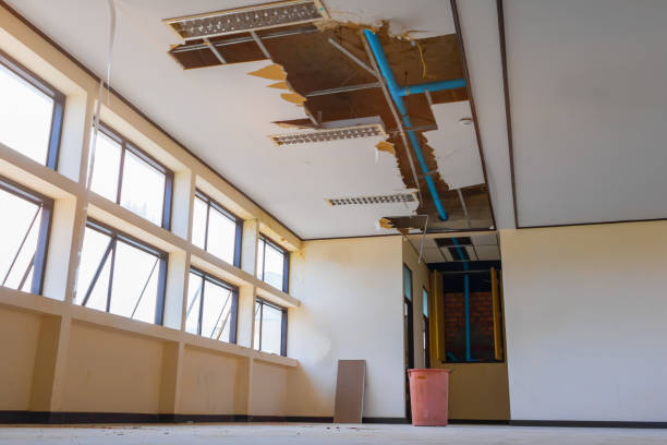 Best Water damage restoration near me  in Kaanapali, HI