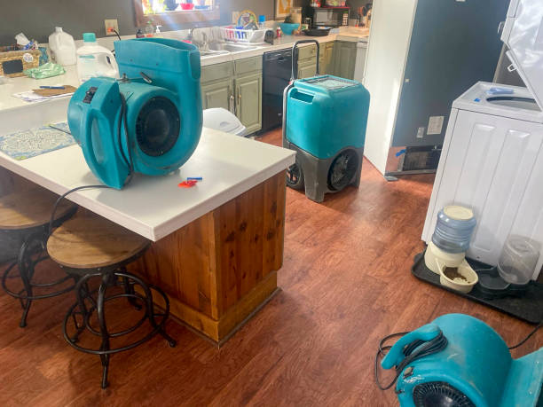 Best 24/7 water damage repair  in Kaanapali, HI
