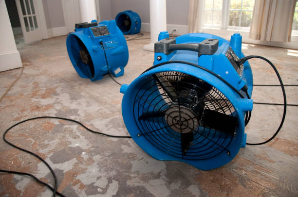 Best Ceiling water damage repair  in Kaanapali, HI