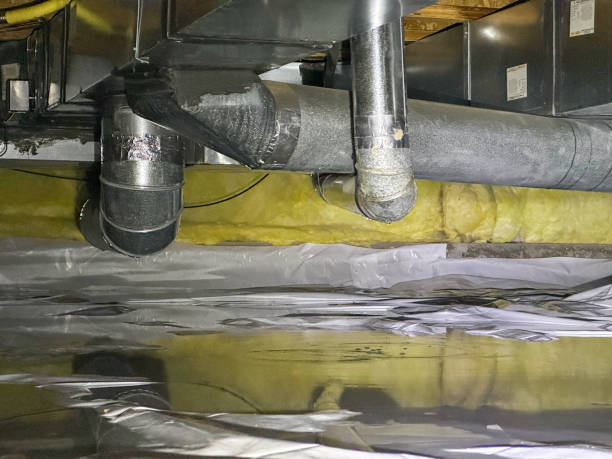 Best Flood damage cleanup  in Kaanapali, HI