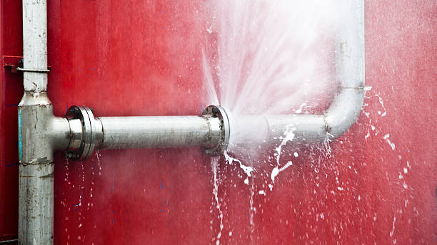 Best Water damage restoration near me  in Kaanapali, HI