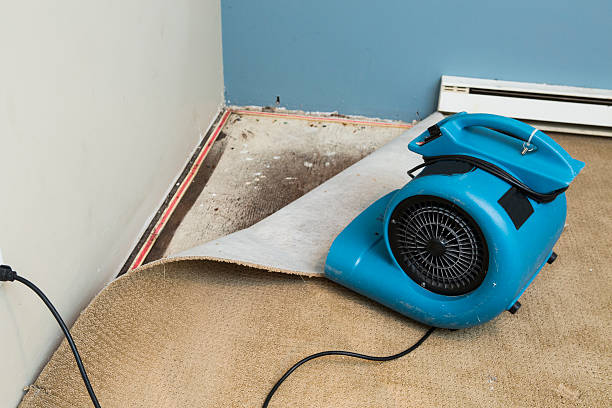 Best Flooded house restoration  in Kaanapali, HI